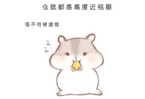 倉(cāng)鼠高度近視